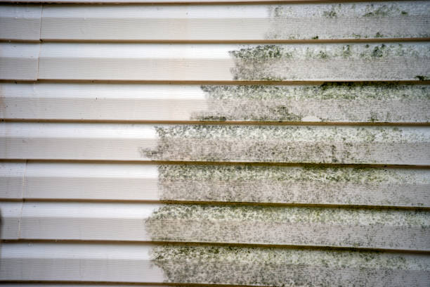 Best Siding Removal and Disposal  in Hydesville, CA