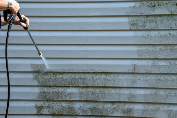 Best Siding Repair  in Hydesville, CA