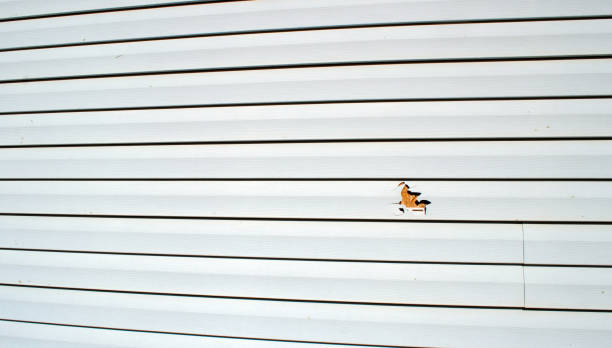 Best Aluminum Siding Installation  in Hydesville, CA