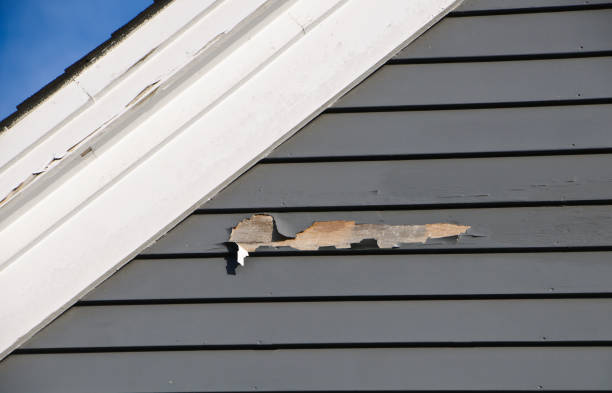 Best Storm Damage Siding Repair  in Hydesville, CA